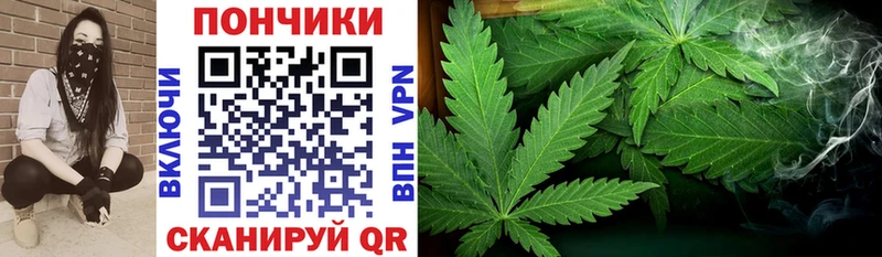 Каннабис индика Катайск